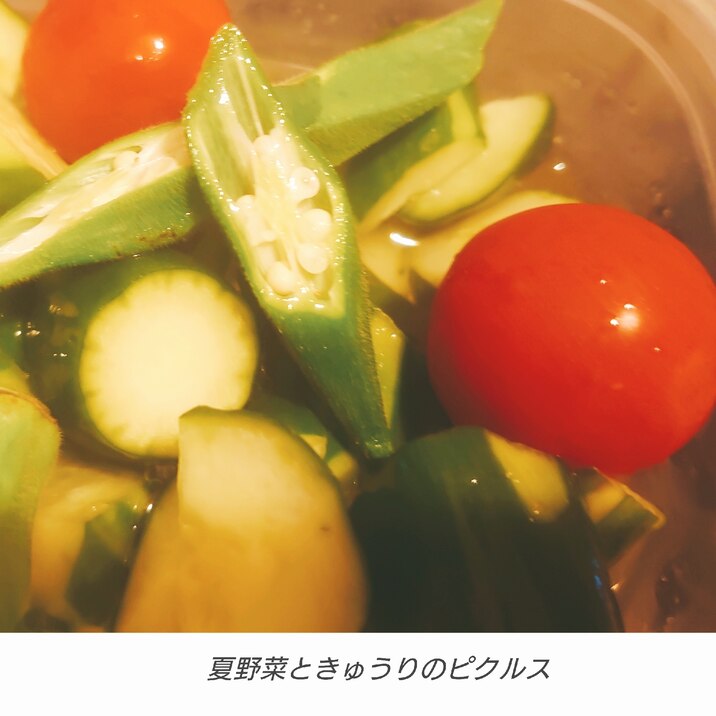 夏野菜ときゅうりの簡単小鉢